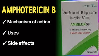 amphotericin b pharmacology [upl. by Miguel]