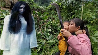 Single mother in danger in the forest  Harvesting melons to sell [upl. by Aicnelav]