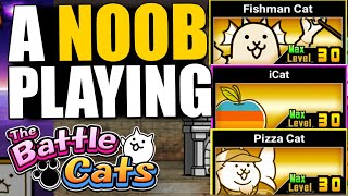 NOOB TO PRO 162  I PUT THREE CATS IN TRUE FORM Pizza Cat iCat and Fishman  The Battle Cats [upl. by Justin]