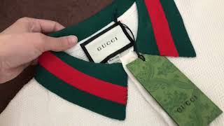 Fashion Gucci KNIT COTTON POLO T SHIRT WITH WEB from BOOTSFY [upl. by Rendrag]