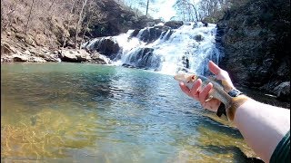 Catching a RARE Fish Below Waterfalls  Alabama Trip Part I of III [upl. by Rodmun996]