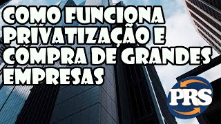 Como funciona  Privatização e compra de grandes empresas [upl. by Moersch]