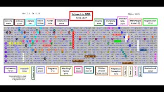 Yahweh in DNA  Hebrew Torah Bible Code [upl. by Enahpad]