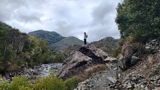 Journey to Whispering Falls  New Zealands Hidden Paradise [upl. by Alohs]