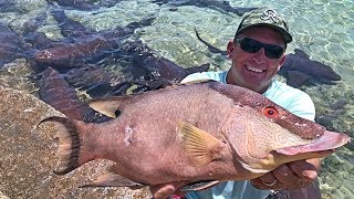 Cave Diving Hogfish Grouper Dolphin spearfishing Staniel Cay Exhumas The Bahamas [upl. by Tresa887]