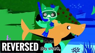 Baby Shark Dance PINKFONG Songs for Children  CISUM  reversed music [upl. by Dillie]