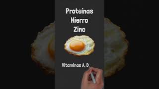 Principales nutrientes de los huevos salud cienciaabierta huevos proteinas huevo nutrientes [upl. by Michiko757]