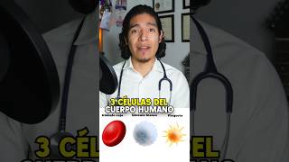 Glóbulos rojos blancos y plaquetas sabiasque medicina [upl. by Fante252]