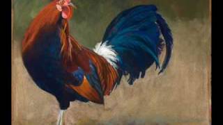 Rooster Funky song [upl. by Nailil568]