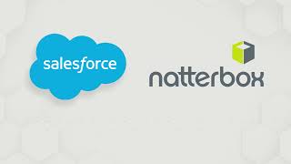 Introducing Natterbox and Salesforce Service Cloud Voice [upl. by Fadiman]