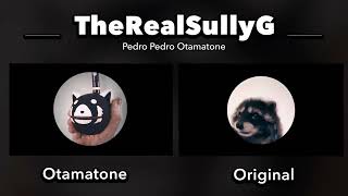 Pedro Pedro Otamatone Side by Side Comparison [upl. by Nofpets936]