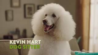 Kevin Hart Calls Out a Snobby Dog  quotThe Secret Life of Petsquot [upl. by Araj]