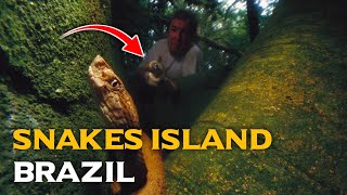 The Deadly Secret of Brazils Ilha da Queimada Grande  Snake island brazil [upl. by Larok]