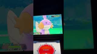 Shiny Mudkip Pokemon Omega Ruby pokemon shinypokemon pokémon pokemongo [upl. by Nylekoorb]