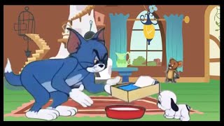 Tom and Jerry  NitWittyKitty  classic cartoons  Wbkidscartoonsbn3ix [upl. by Edette513]