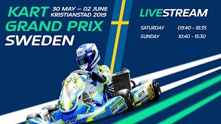 FIA Karting European Championship 2019 OK  Junior Round 3 Sweden Sunday [upl. by Alanson]