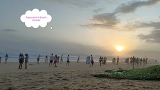 Varkala Beach  Papanashini Beach  Kerala [upl. by Stig]