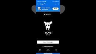 How to withdraw dog 🤑 Telegram Wallet DOGS Withdraw tutorial 🙂Just Enter Basic detail DOGS DOG [upl. by Naerol935]