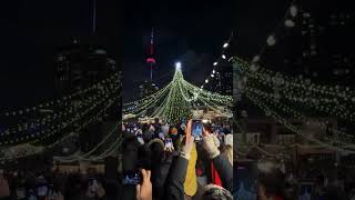 Harbourfront Tree lighting ceremony 🎄🎉torontoharbourfrontcentre toronto christmastree canada [upl. by Bacchus190]