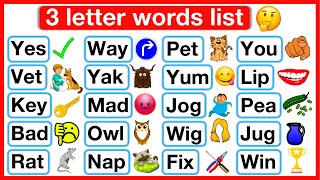 3 Letter Words List 🤔  Phonics lesson 3  Reading Words Lesson  Learn with examples [upl. by Ayekel125]