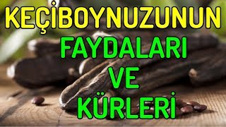 KEÇİ BOYNUZUNUN FAYDALARI VE KÜRLERİ [upl. by Heffron]