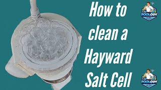 HOW TO CLEAN THE Hayward Salt Cell🤔🤷‍♂️ [upl. by Ikairik]