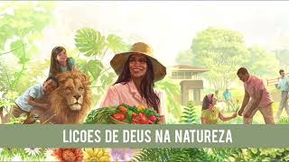 Lições de Deus na natureza  301223  Primários [upl. by Ellezig]