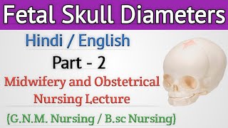 Fetal Skull Diameters  Fetal Skull Diameters In Hindi [upl. by Anilejna549]