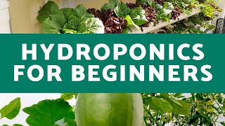 Hydroponics for Beginners  Everything You Need to Know for Successful Hydroponic Growth [upl. by Pruter]