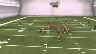 Madden 25 How to Rocket catch Goaline Fades [upl. by Lrat]