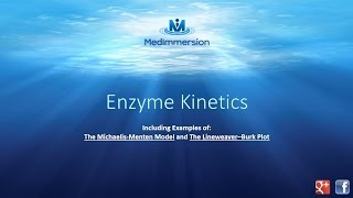 Enzyme Kinetics [upl. by Etnohc]