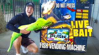 Buying LIVE MORAY EEL From the LIVE FISH VENDING MACHINE Do Not Press [upl. by Nepets]