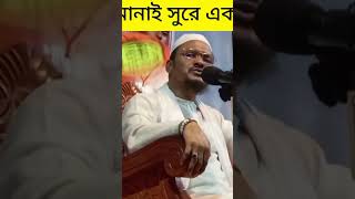 চরমোনায়ের সুরে একামত অন্তর শীতল হয়ে যায় [upl. by Bledsoe793]