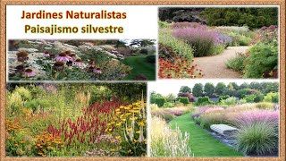 Jardines naturalistas 🌻 Paisajismo silvestre ❀❀ [upl. by Ayhdiv]