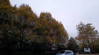 Nechells Autumnscape November 1st 2024 Autumn 🍂 🍂 🍂 [upl. by Cynthla950]