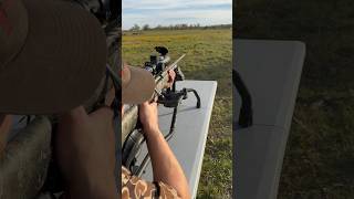 What Does Bullet Drop Look Like  250 Yards hunting deerhunter precisionrifle [upl. by Eelahc337]