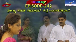 Mayamruga Episode 242 T N Seetharam  P Sheshadhri  Nagendhra Sha [upl. by Parthena]