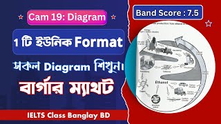 IELTS Writing Task 1 Diagram।।ielts diagram।।IELTS Class Banglay BD [upl. by Aivilo]