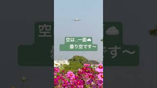 朝いち☀️リーマン！ 運気 気分 飛行機 [upl. by Remoh]