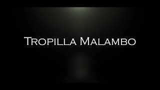 Tropilla Malambo REEL [upl. by Wurster]