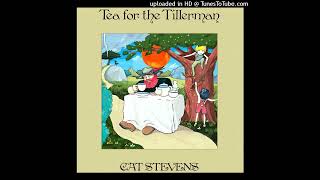 CAT STEVENSTea For The Tillerman10Father And Son1970 [upl. by Suchta584]