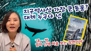 👍찐대박도서 증정넘사벽 아이로 키우는 방법 이거면 된다feat세계 최고의 매거진에 빠지게 하라내셔널지오그래픽 [upl. by Williamsen]