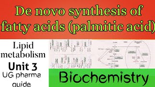 De novo synthesis of fatty acids palmitic acid  biochemistry  full explanation [upl. by Haelam116]