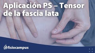 Aplicación de Punción seca en el músculo Tensor de la fascia lata [upl. by Remmus90]