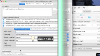 แปลงไฟล์MKVaudioAC3EAC3DTSTrueHDเป็นMP4ฟรีบนMac22 [upl. by Goran]