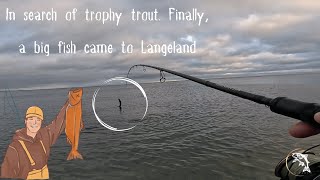 In search of trophy trout Finally a big fish came to Langeland [upl. by Sybyl833]