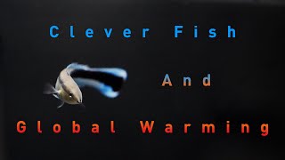 Clever fish and Global Warming [upl. by Odelle]