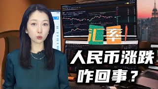 人民幣匯率漲跌到底咋回事？外匯套利怎麼賺錢？ [upl. by Zapot]