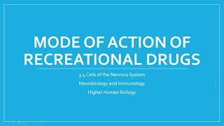 How Recreational Drugs Effect Neurotransmission [upl. by Giaimo558]