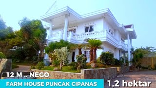 VILLA PUNCAK DIJUAL  FarmHouse Cipanas 12 hektar 12 M nego [upl. by Madelyn]